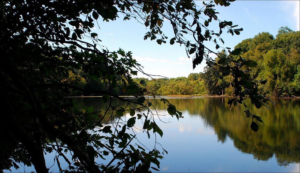 Speedwell Lake Park 