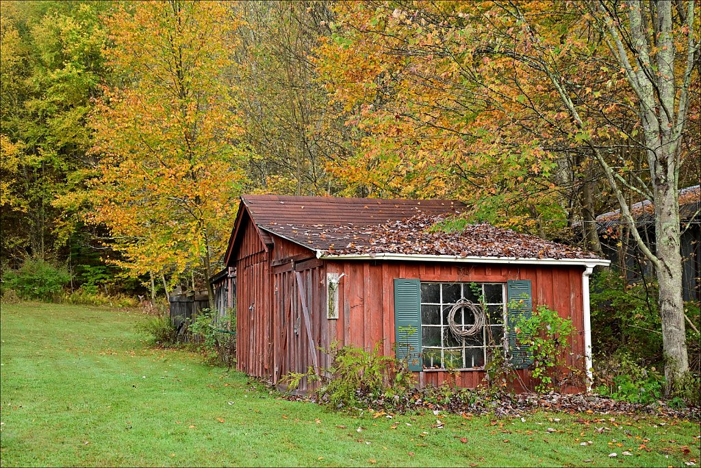 Fall 2024 Upstate NY