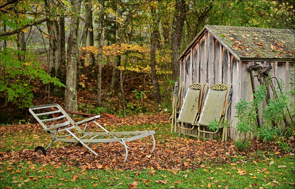 Project 365+ - By Joe Gigli