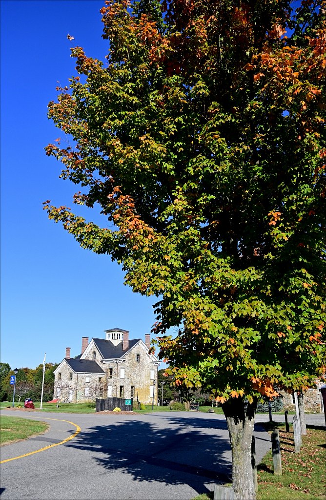 Turkey Brook Park