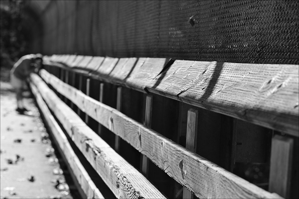 Columbia Trail - 