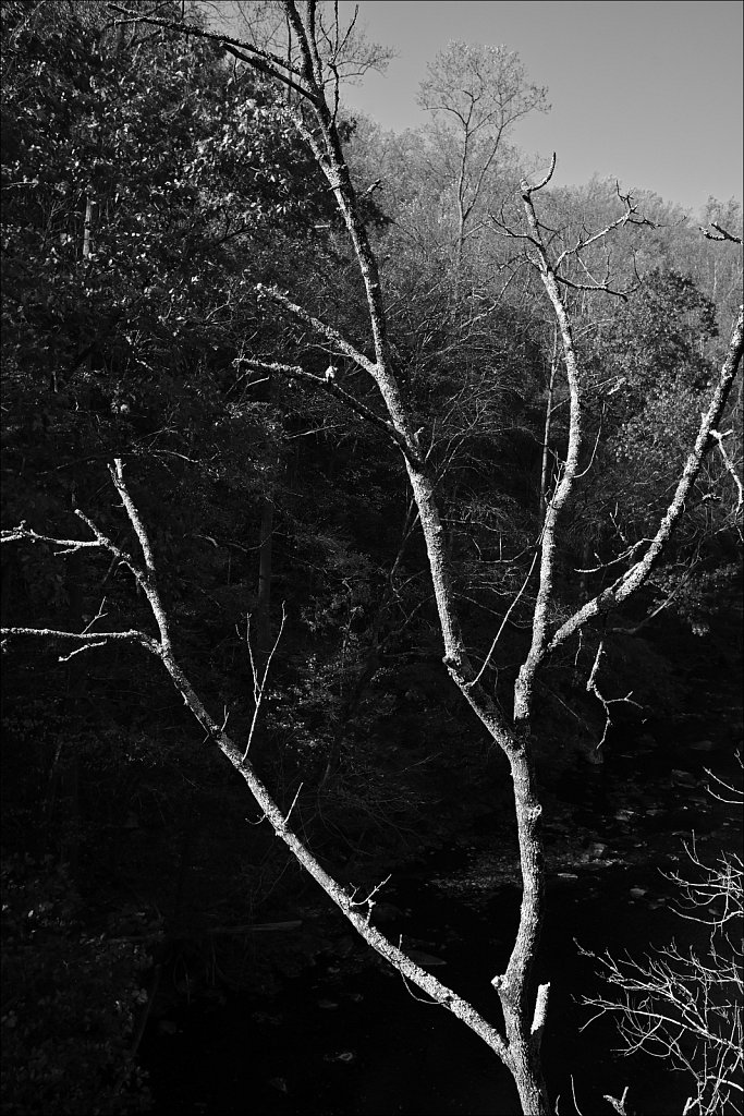 Columbia Trail - 