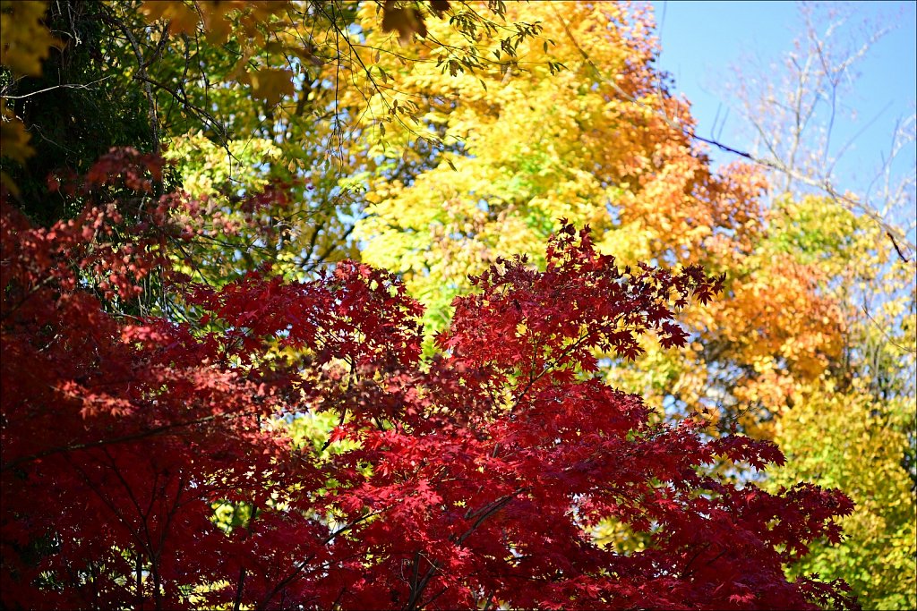 Columbia Trail - 