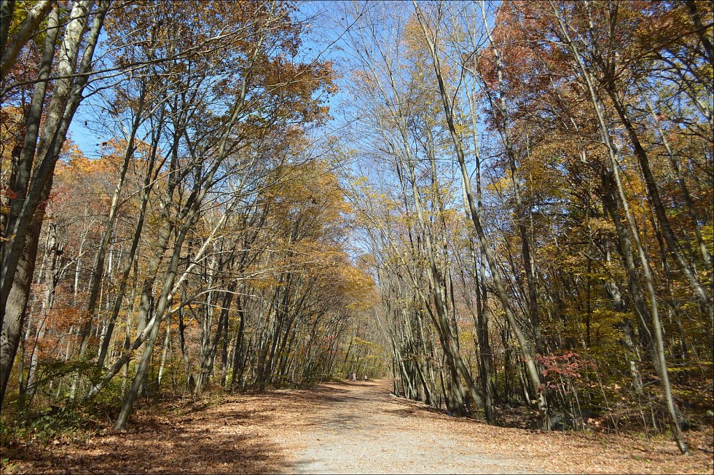Sussex Branch Trail