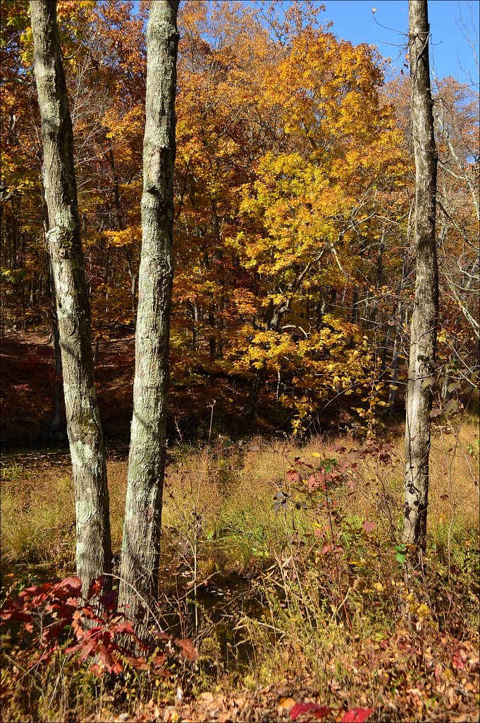 Sussex Branch Trail