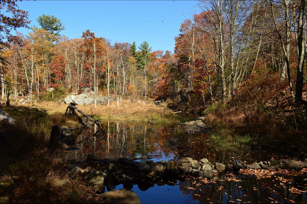 Sussex Branch Trail