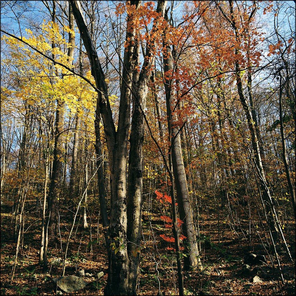 Ken Lockwood Gorge WMA 