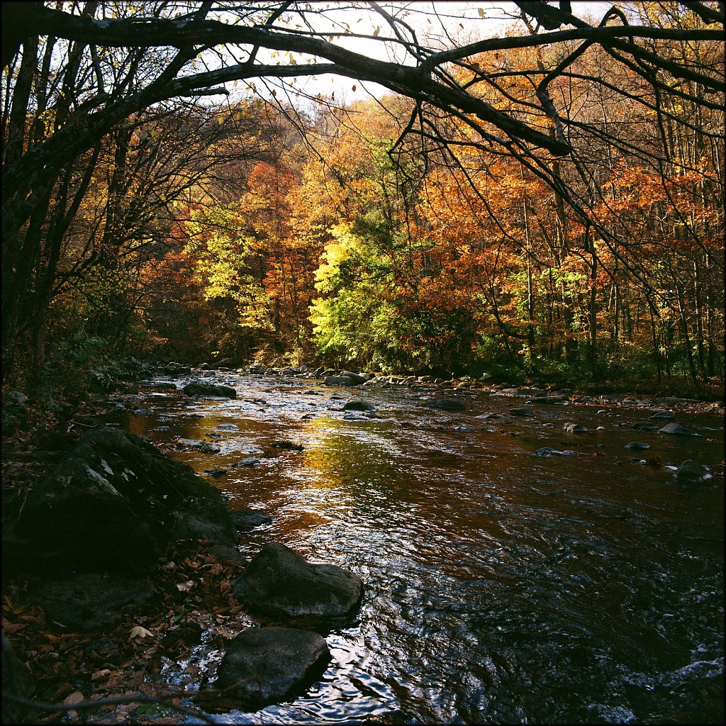 Ken Lockwood Gorge WMA 
