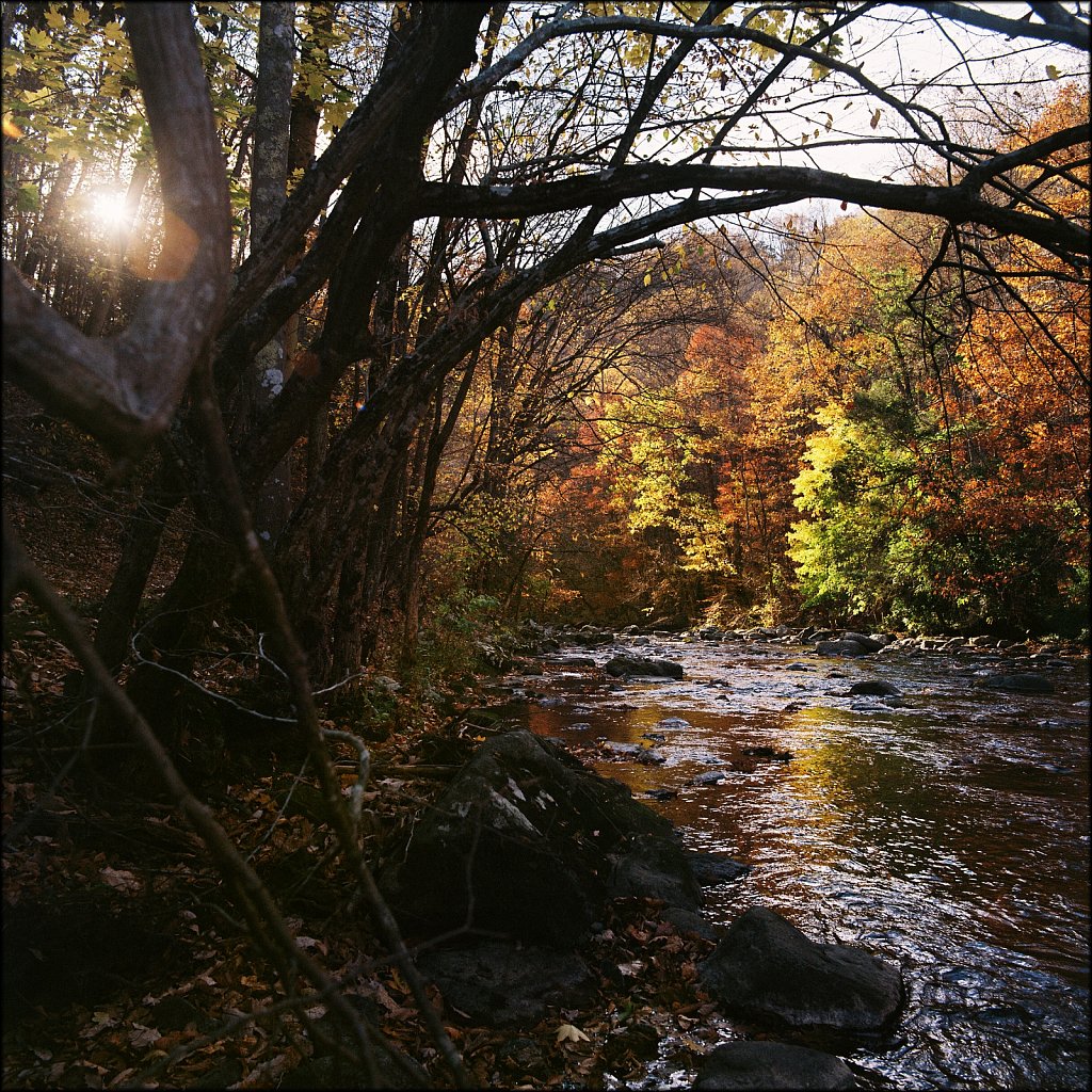 Ken Lockwood Gorge WMA 