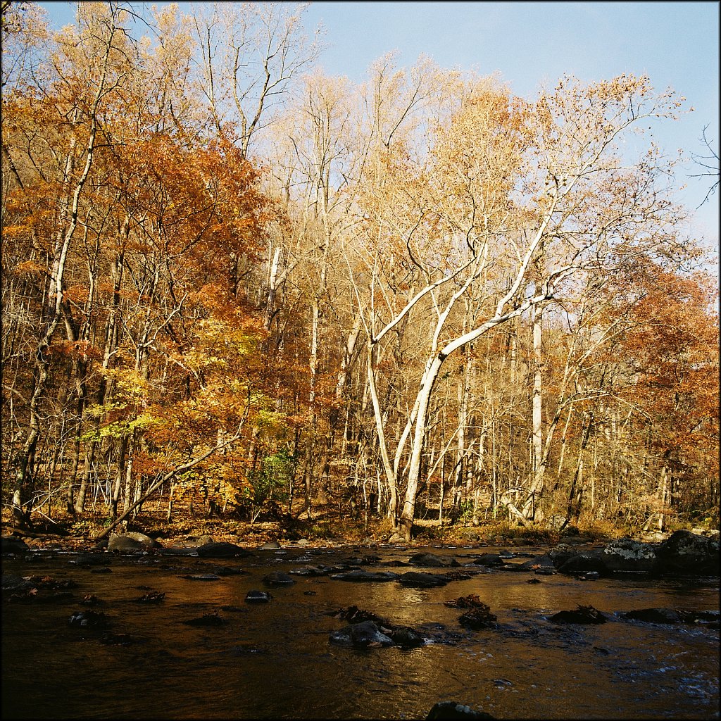 Ken Lockwood Gorge WMA 