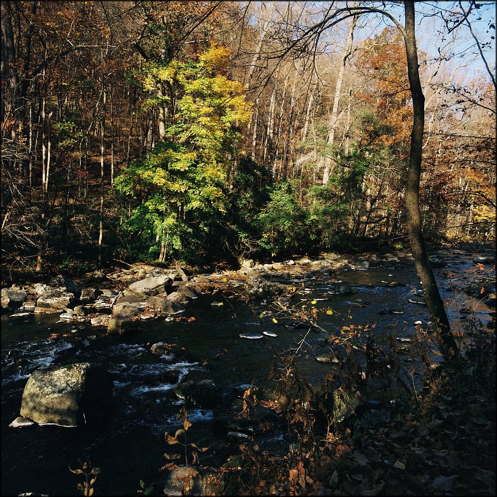 Ken Lockwood Gorge WMA 
