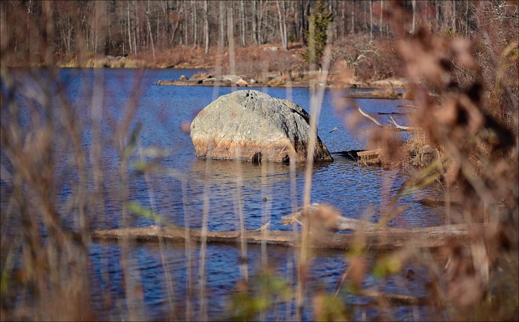 Mahlon Dickerson Reservation