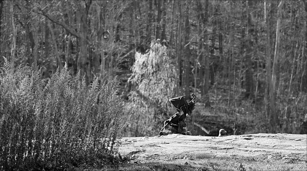 Mahlon Dickerson Reservation