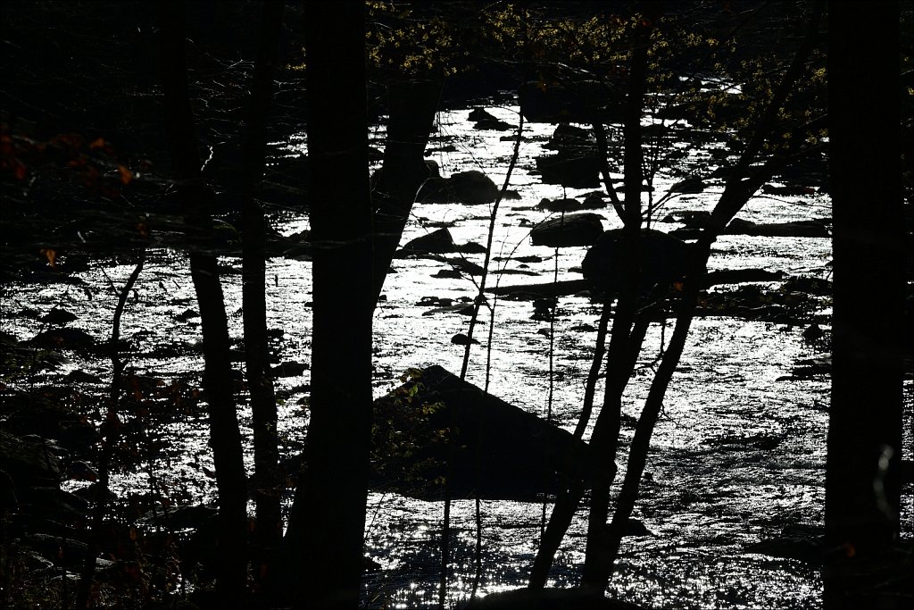 Ken Lockwood Gorge WMA