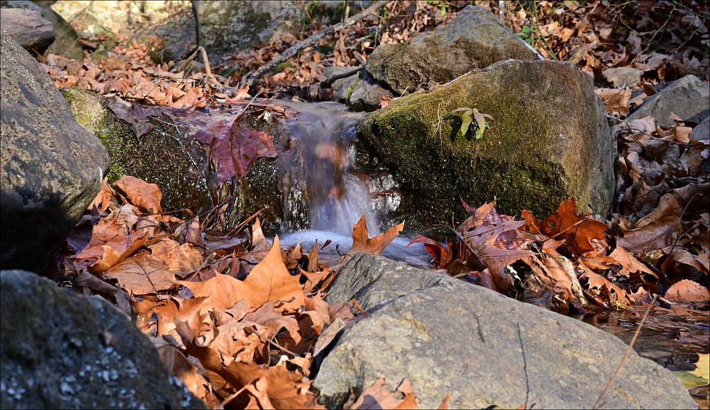 Ken Lockwood Gorge WMA