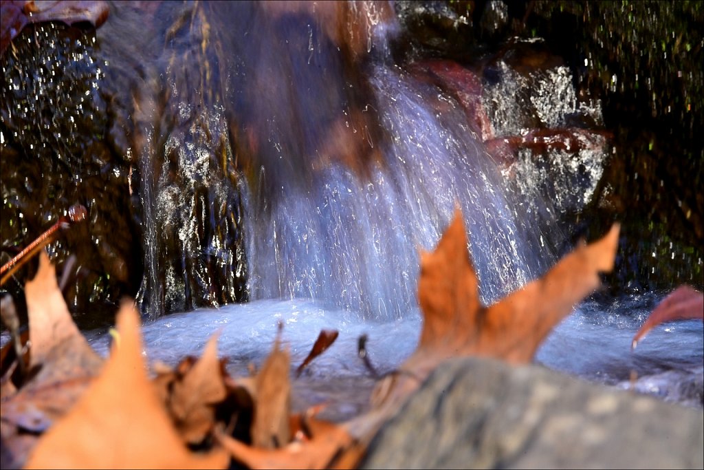Ken Lockwood Gorge WMA