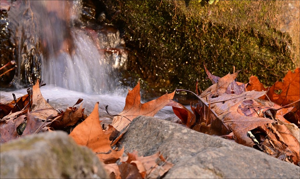 Ken Lockwood Gorge WMA