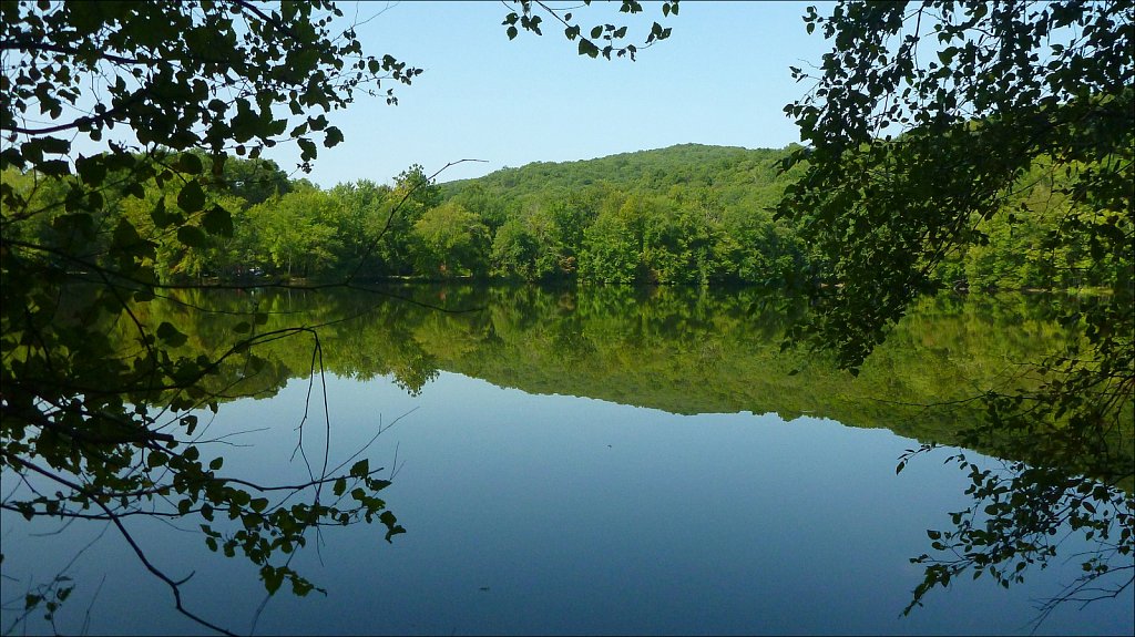 Scarlet Oak Pond 