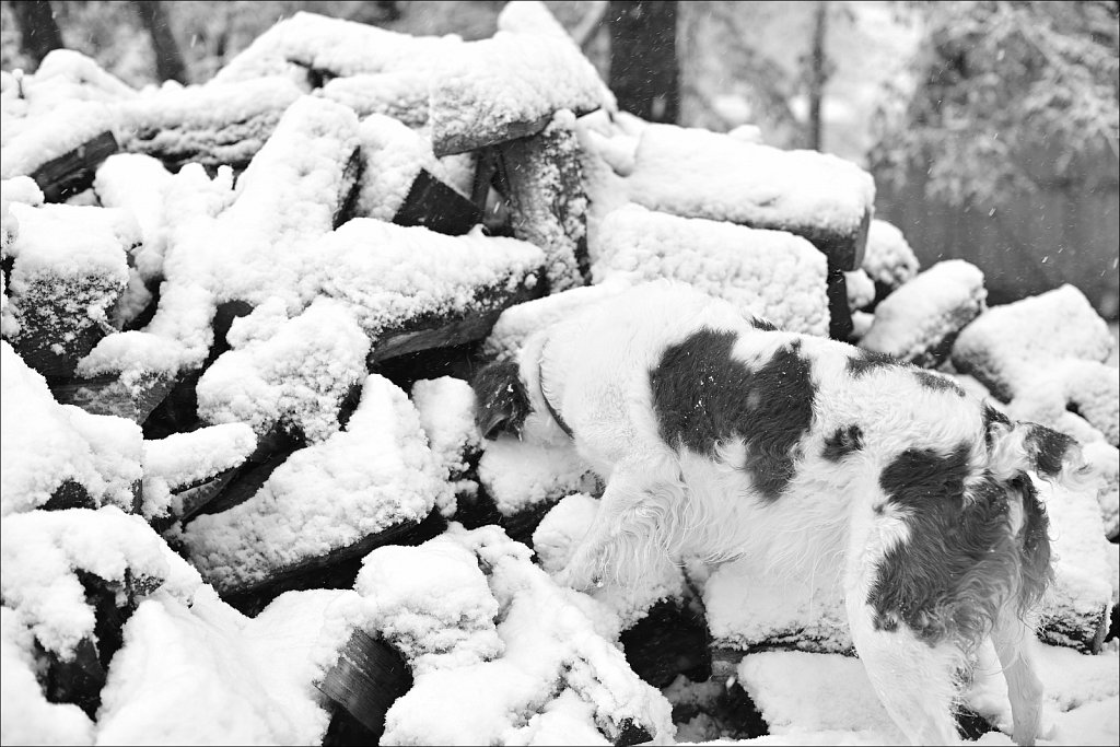 1st Snow of Season