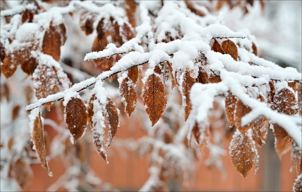 1st Snow of Season