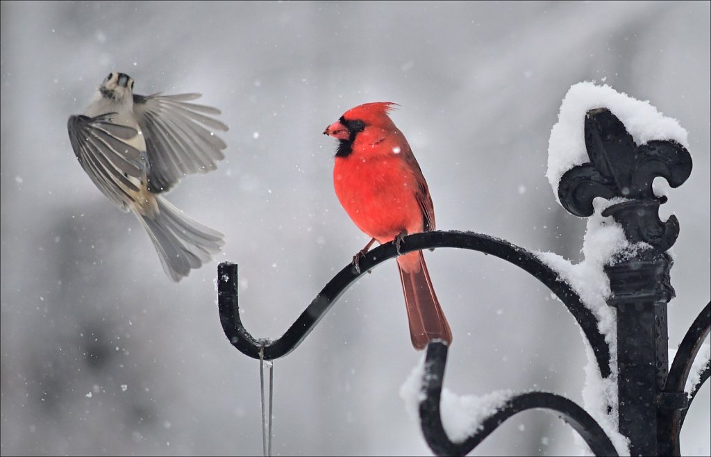 1st Snow of Season