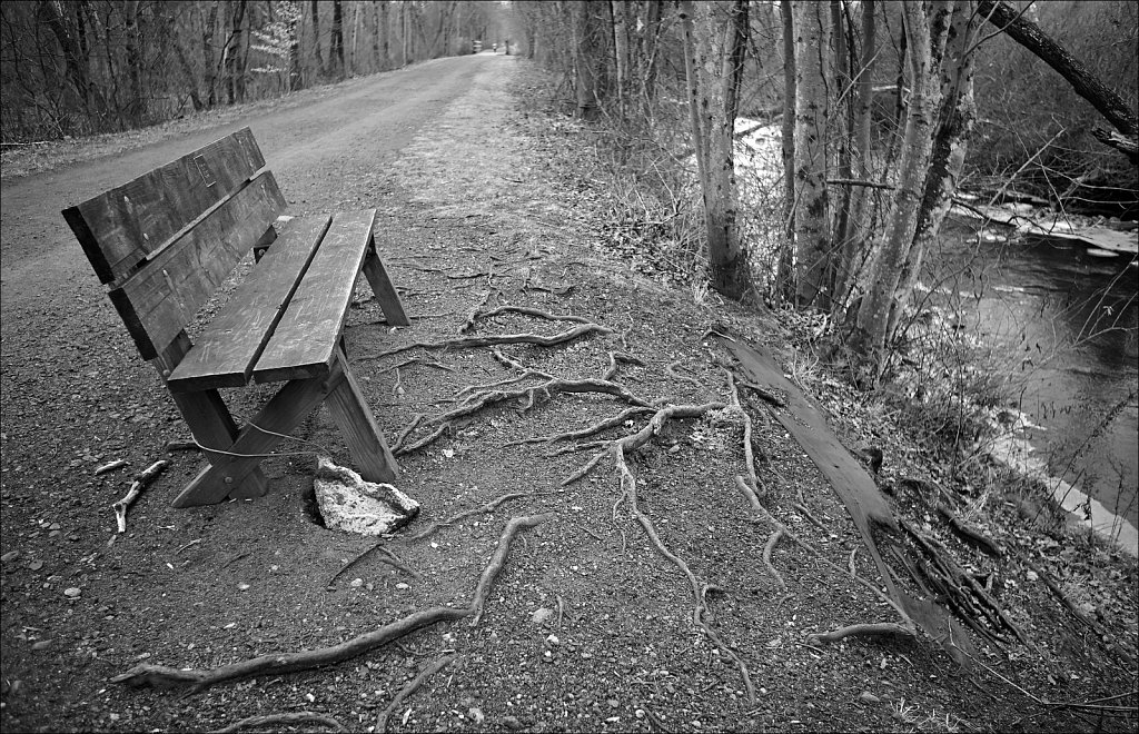 Along The Columbia Trail