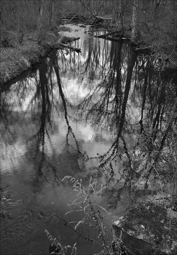 Along The Columbia Trail