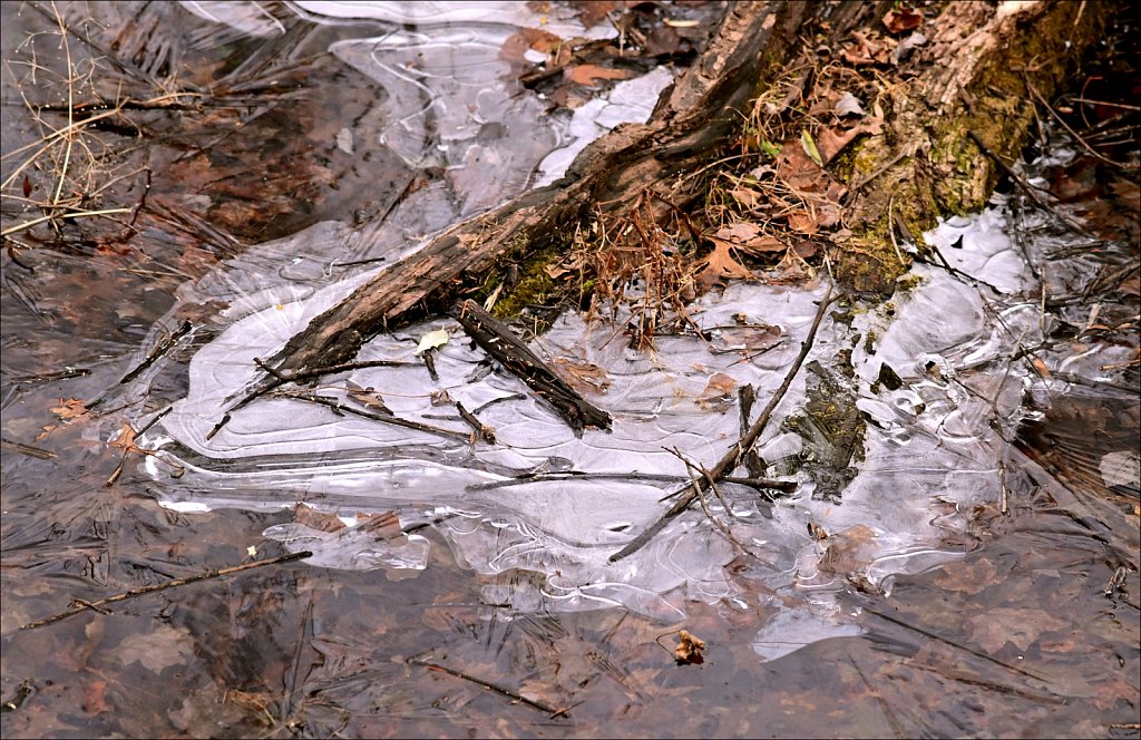Along The Columbia Trail