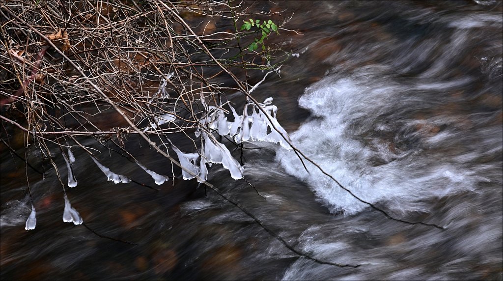 Along The Columbia Trail