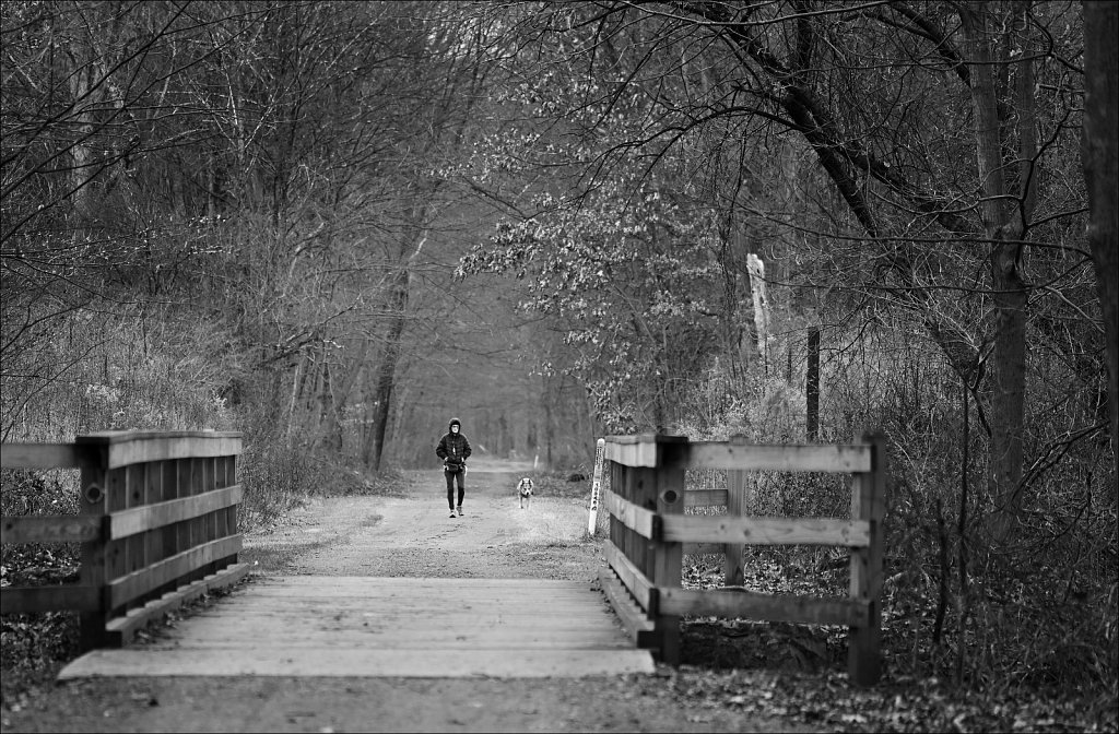 Along The Columbia Trail