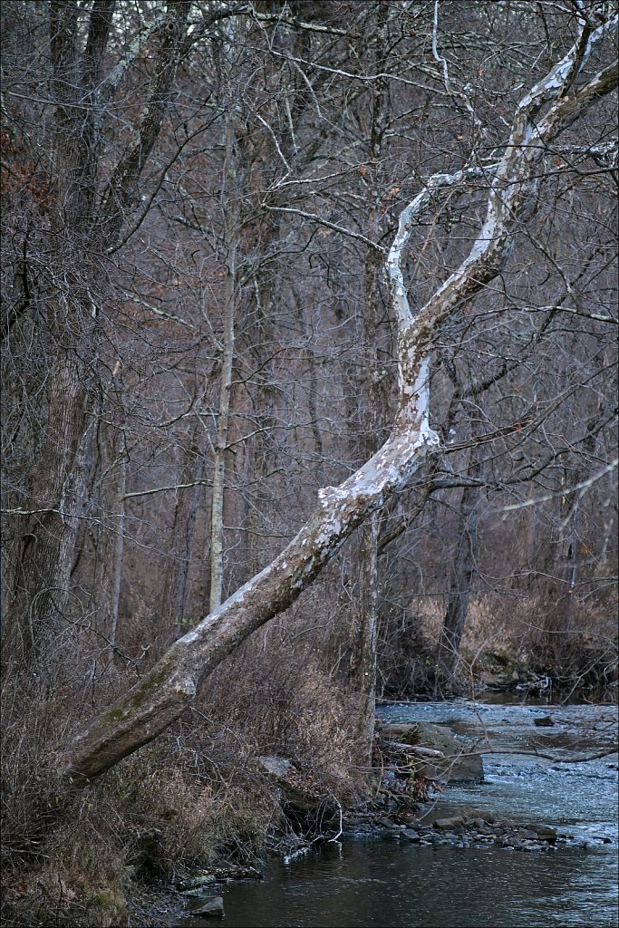 Along The Columbia Trail