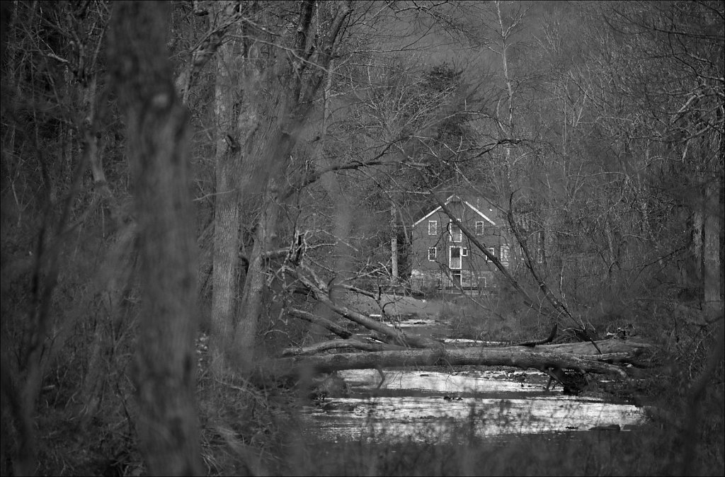 Along The Columbia Trail
