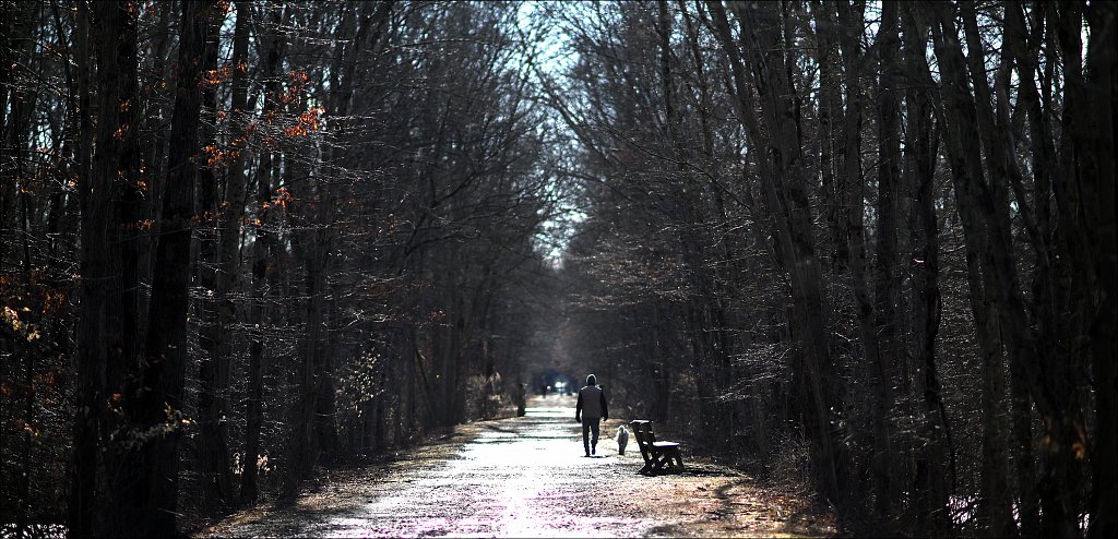 Columbia Trail