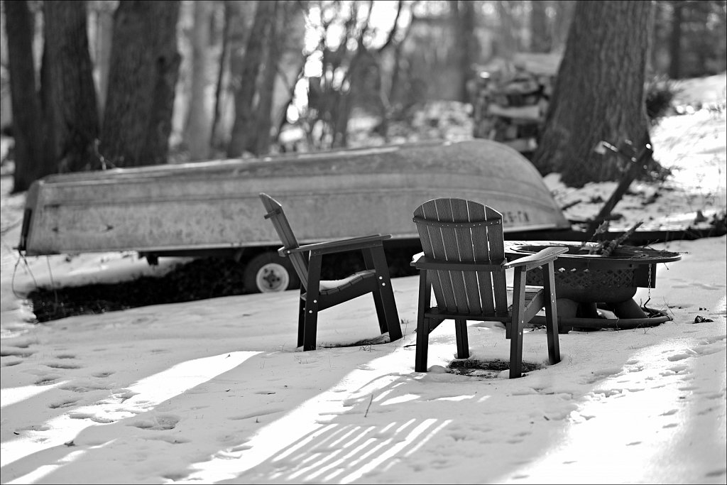 Backyard Walk