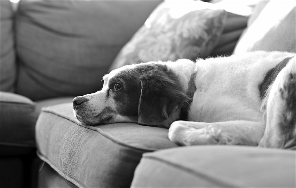 Copper getting some Rest