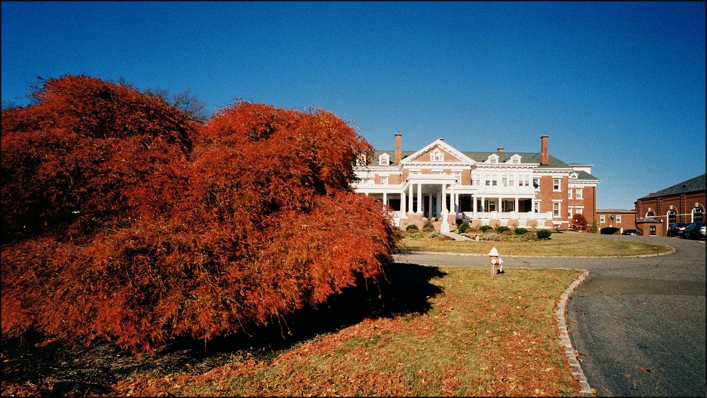 Villa Walsh