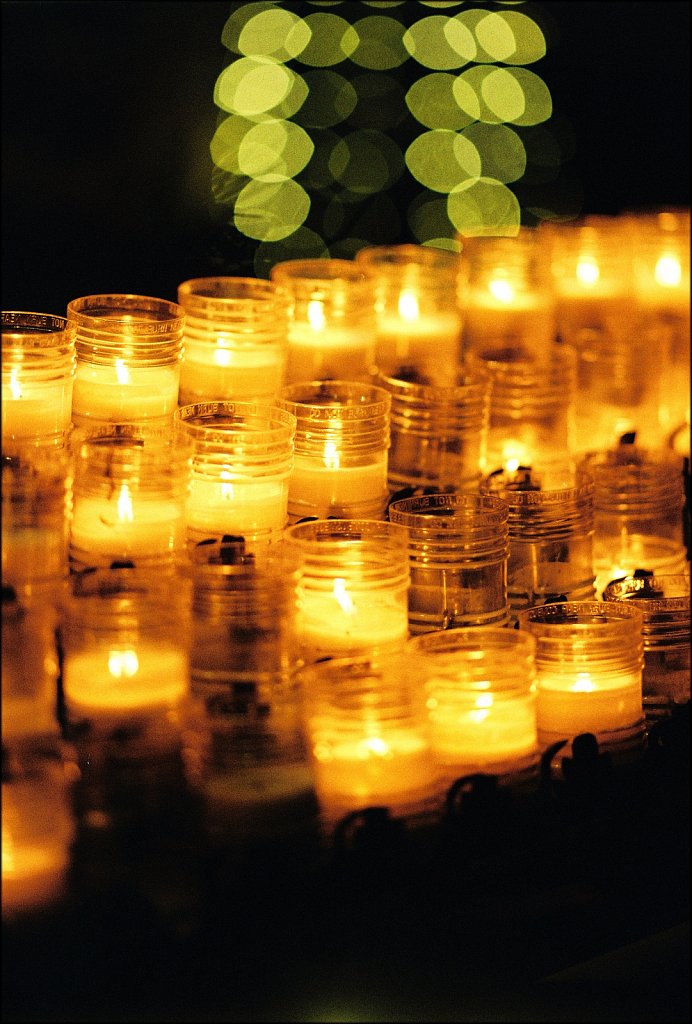 Christmas Festival of Lights