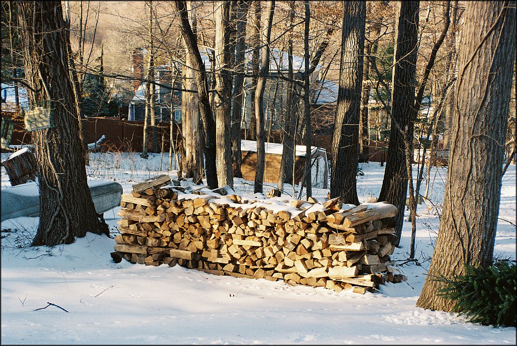 Minolta 7xi test
