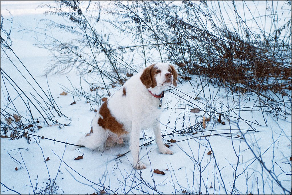 Minolta 7xi test