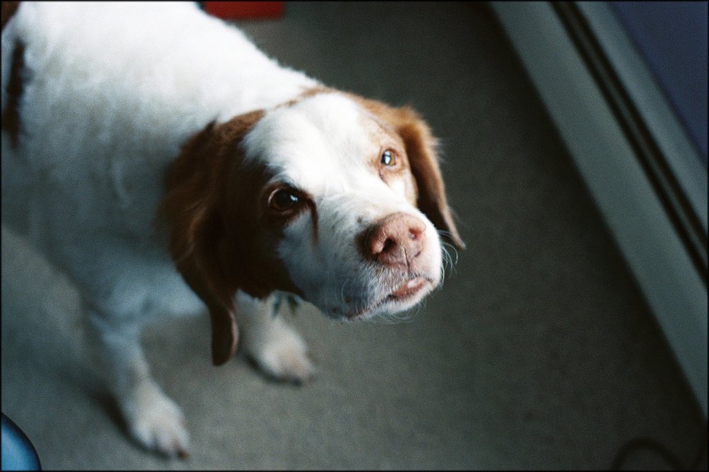 Minolta 7xi test