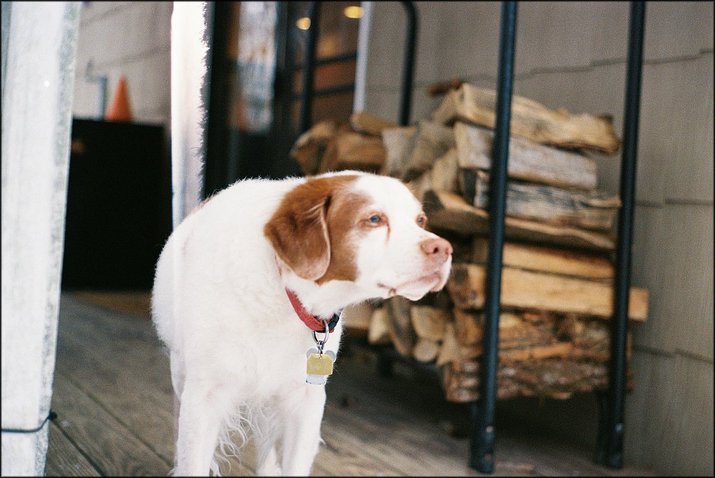 Leica IIF first roll test