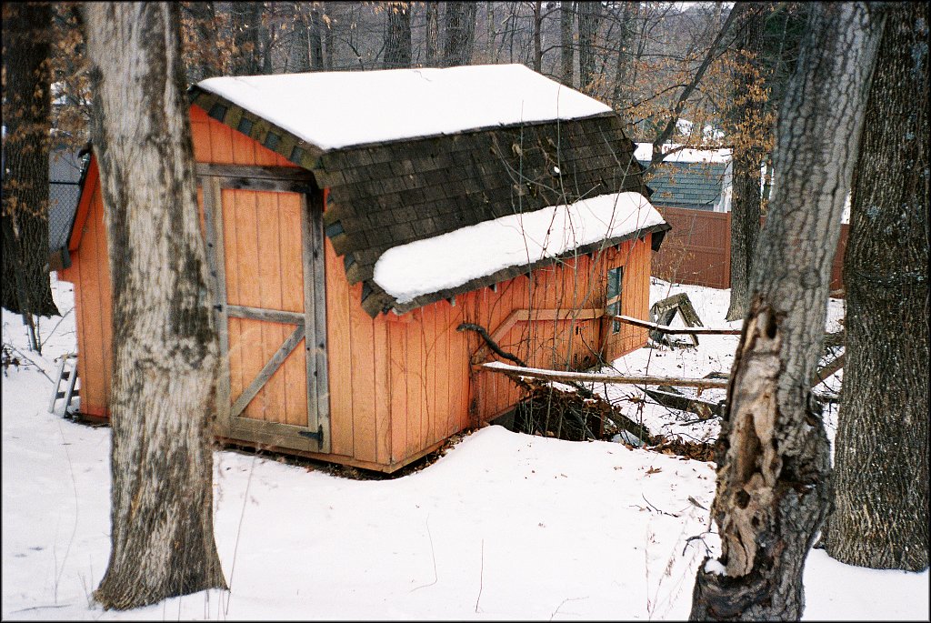 Leica IIF first roll test