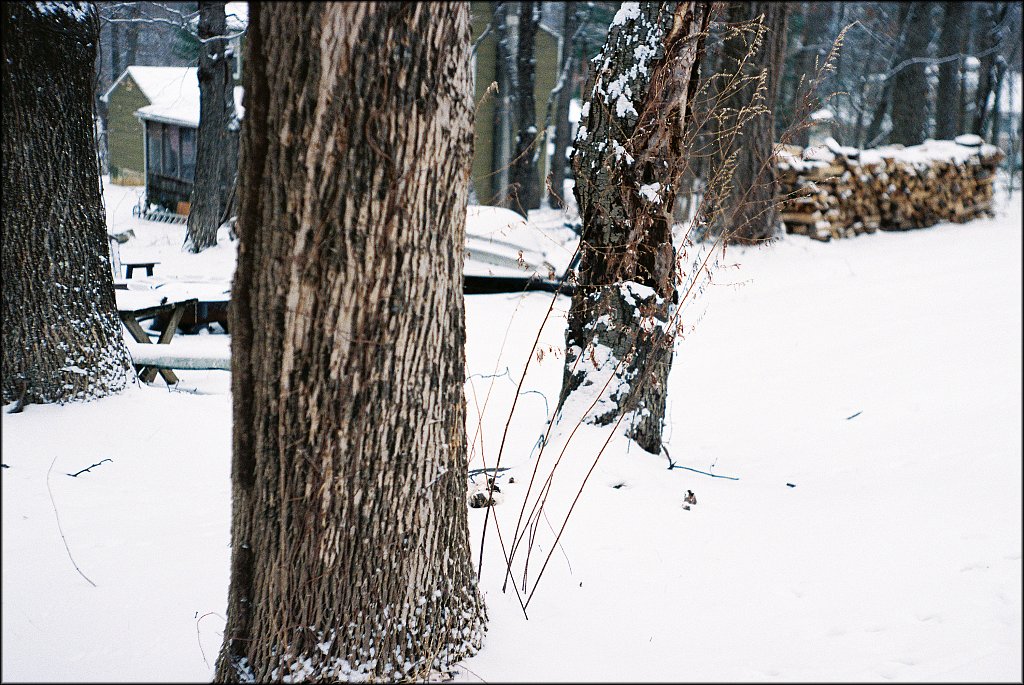 Leica IIF first roll test