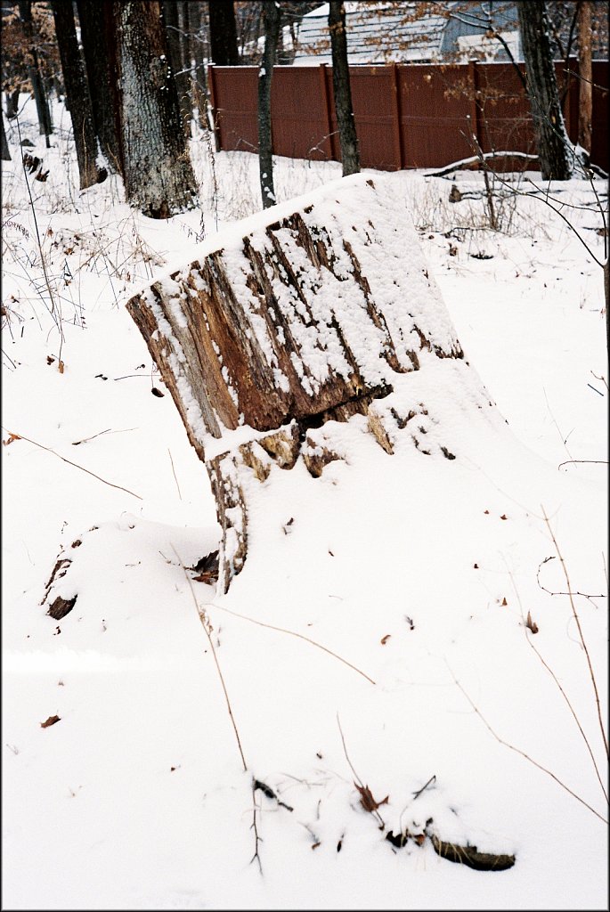 Leica IIF first roll test