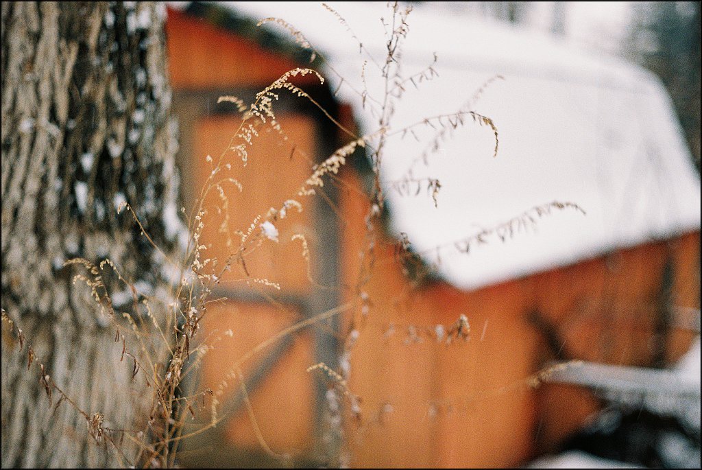 2nd Roll Leica IIF test