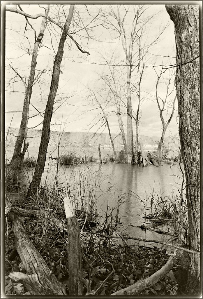 Along the Sussex Branch Trail