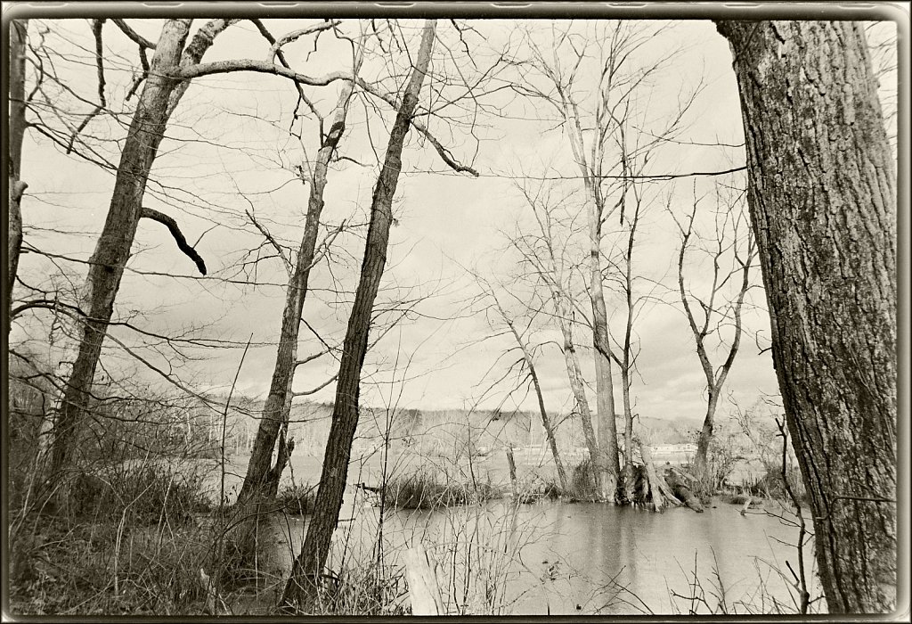 Along the Sussex Branch Trail