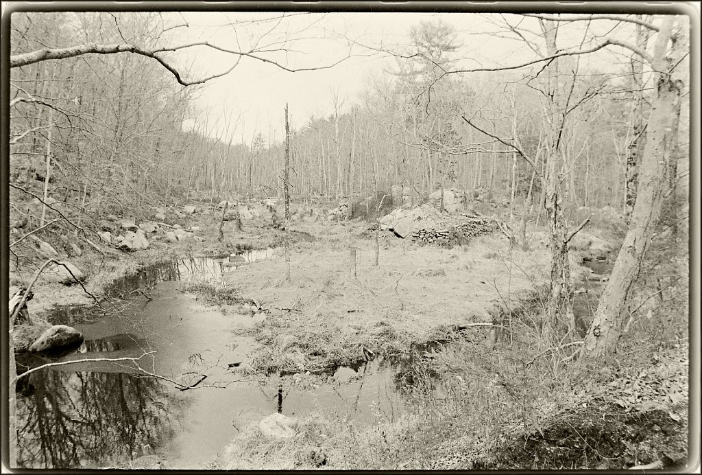 Along the Sussex Branch Trail