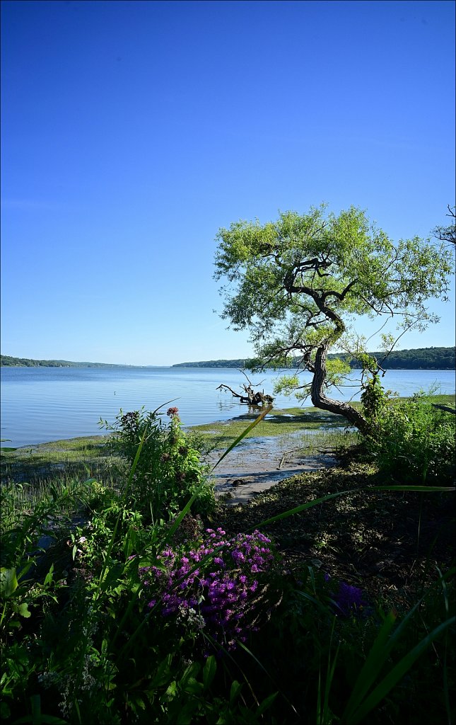Saugerties Lighthouse & Ruth Reynolds Glunt Nature Preserve