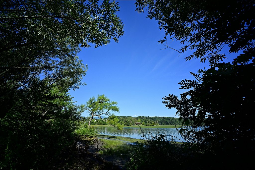 Saugerties Lighthouse & Ruth Reynolds Glunt Nature Preserve